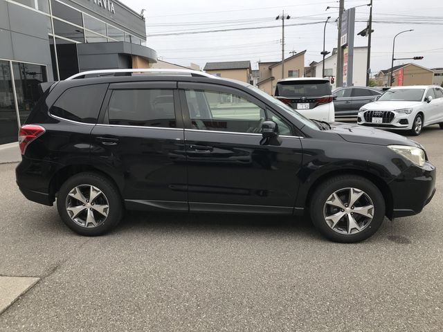FORESTER