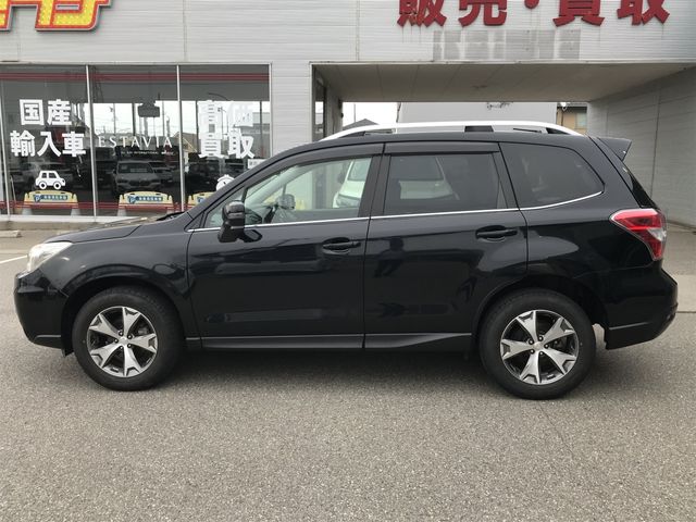 FORESTER