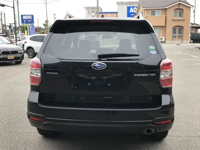 FORESTER