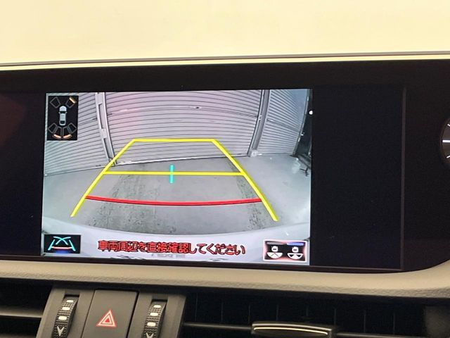 LEXUS ES300h