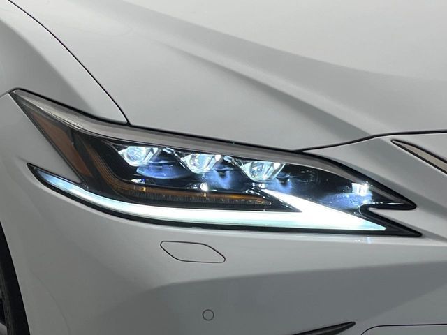 LEXUS ES300h
