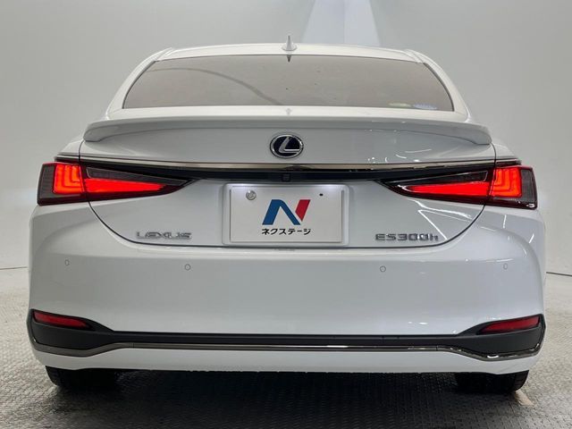LEXUS ES300h