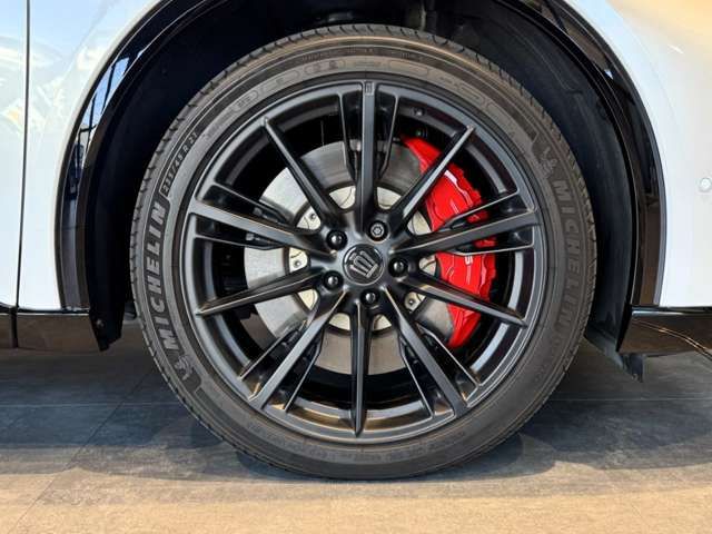 CROWN SPORT