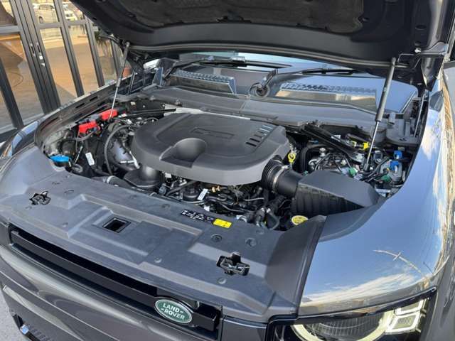 ROVER DEFENDER