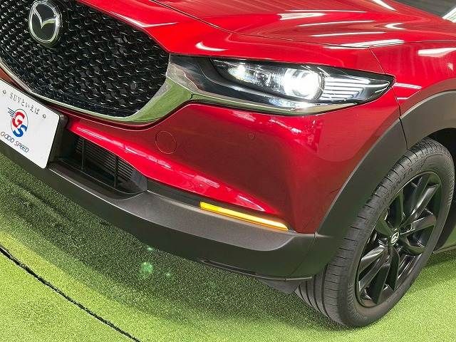 CX-30