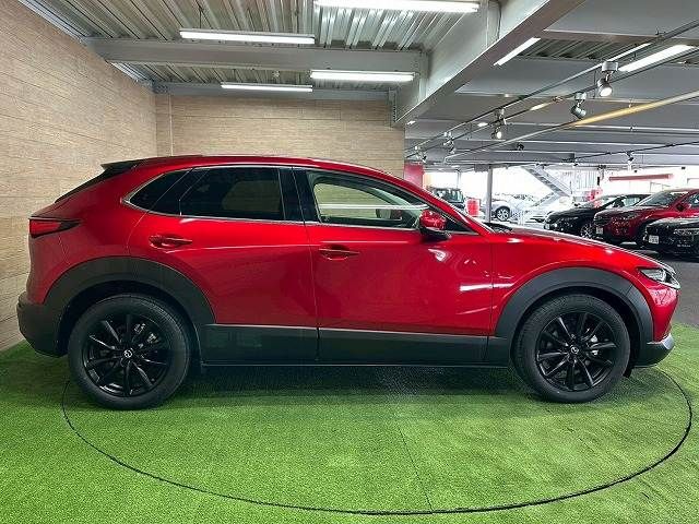 CX-30