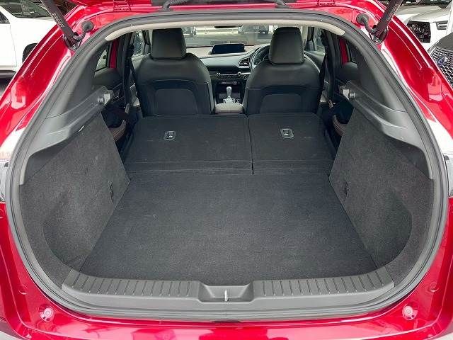 CX-30