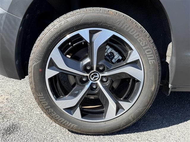 MX-30 Rotary-EV
