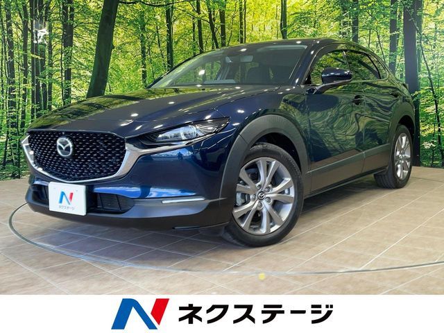 CX-30