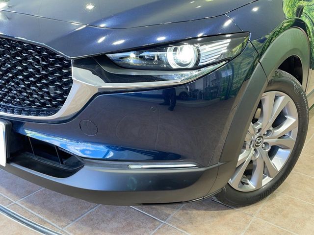 CX-30