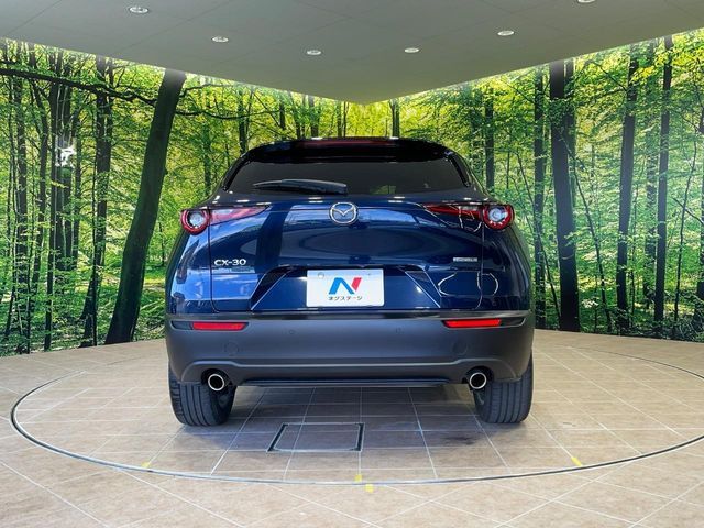 CX-30