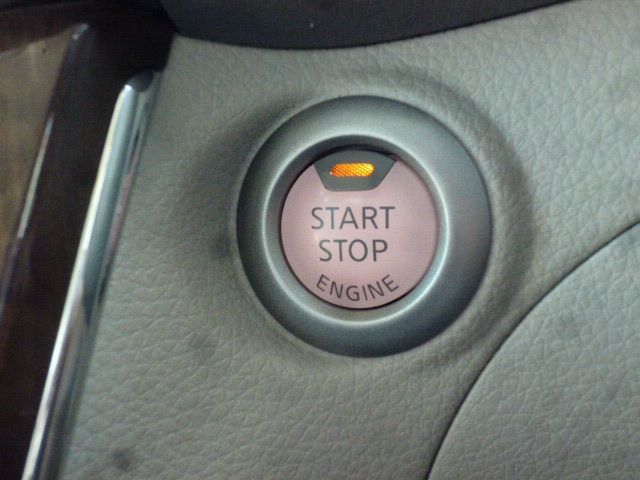 Sylphy
