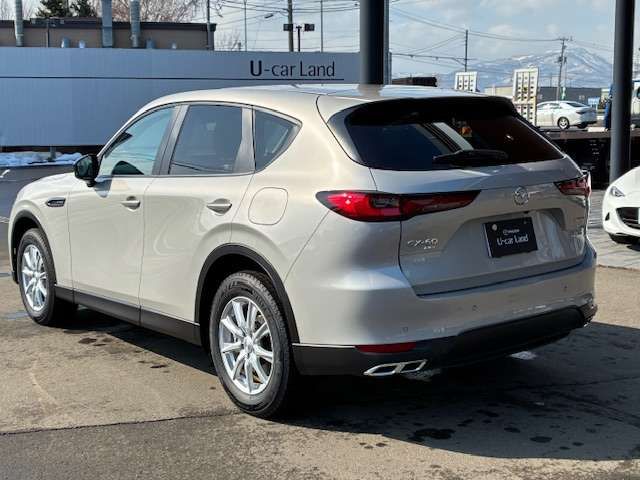 CX-60