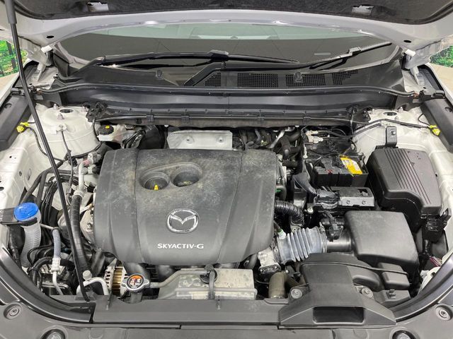 CX-8