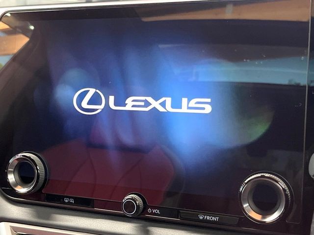 LEXUS RX500h