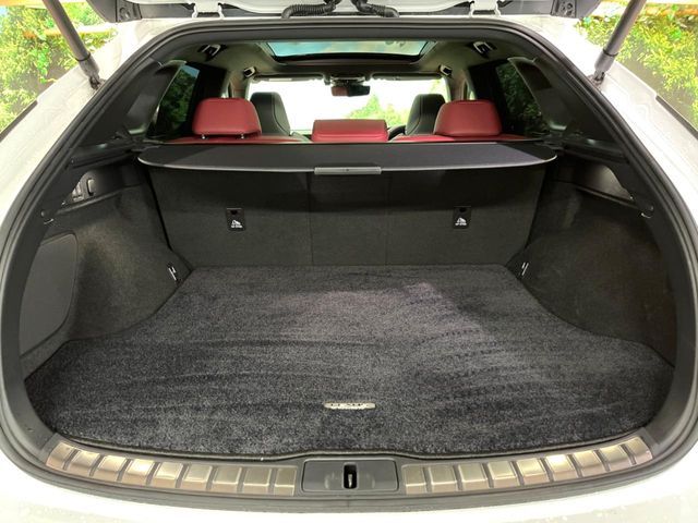LEXUS RX500h
