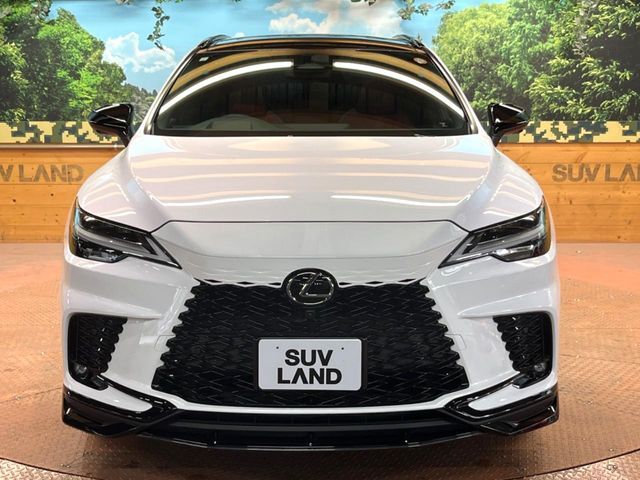 LEXUS RX500h