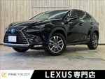 LEXUS NX300h