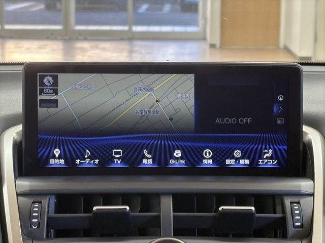 LEXUS NX300h
