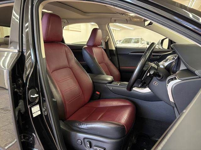 LEXUS NX300h