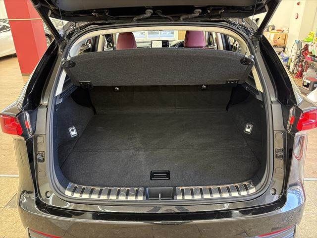 LEXUS NX300h