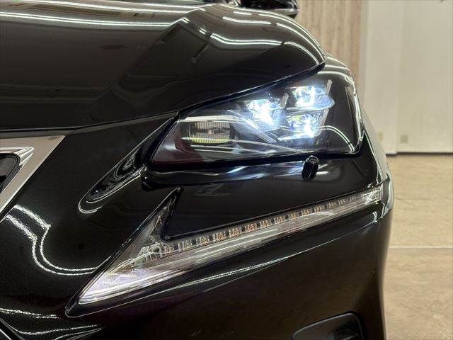 LEXUS NX300h