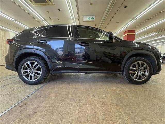 LEXUS NX300h