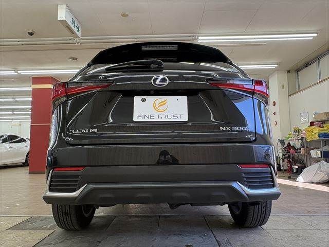 LEXUS NX300h