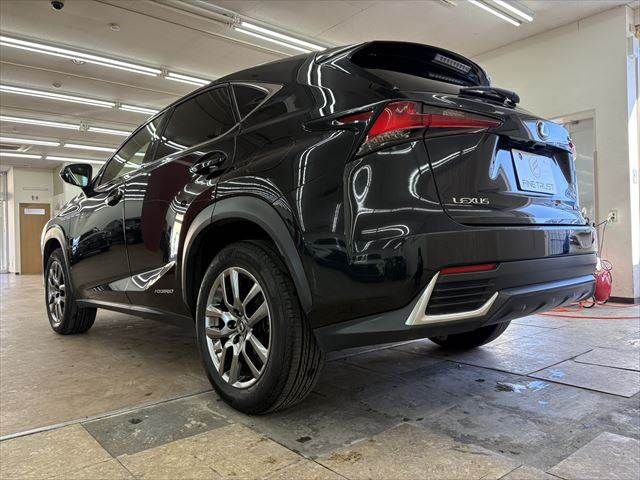 LEXUS NX300h