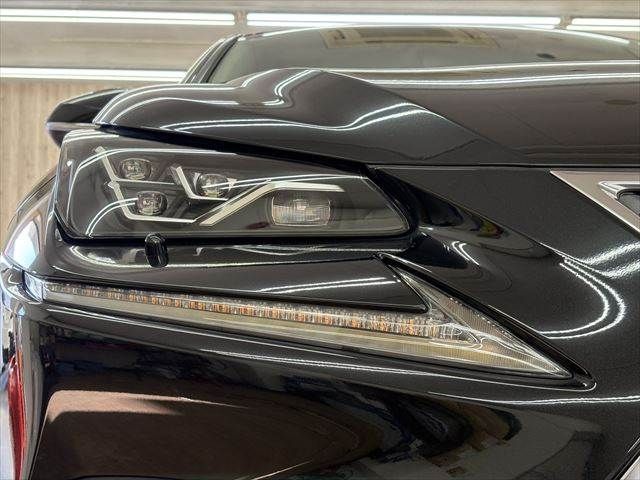 LEXUS NX300h