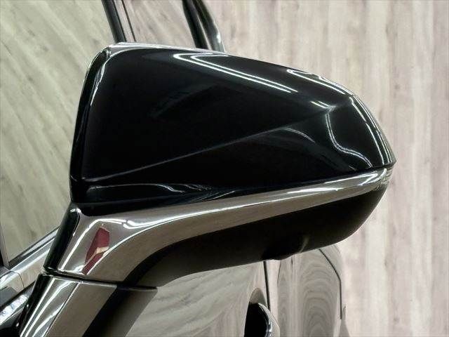 LEXUS NX300h