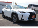LEXUS UX300e
