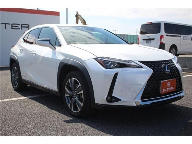 LEXUS UX300e