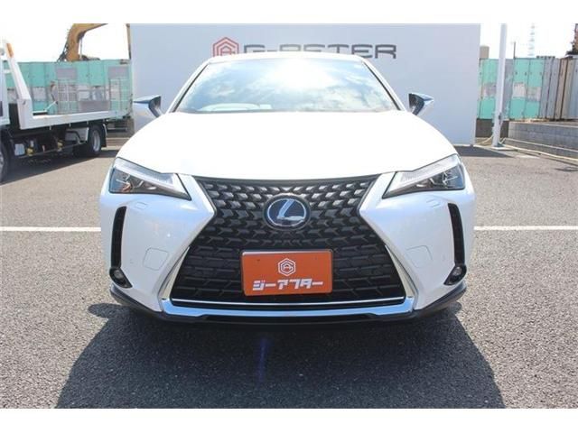LEXUS UX300e