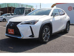 LEXUS UX300e