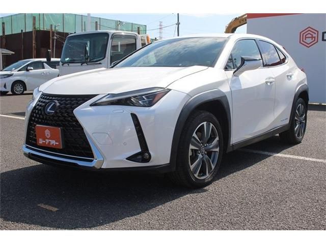 LEXUS UX300e