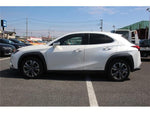 LEXUS UX300e