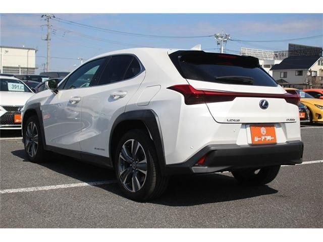 LEXUS UX300e