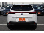 LEXUS UX300e