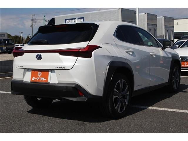 LEXUS UX300e