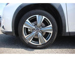 LEXUS UX300e