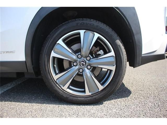LEXUS UX300e