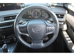 LEXUS UX300e