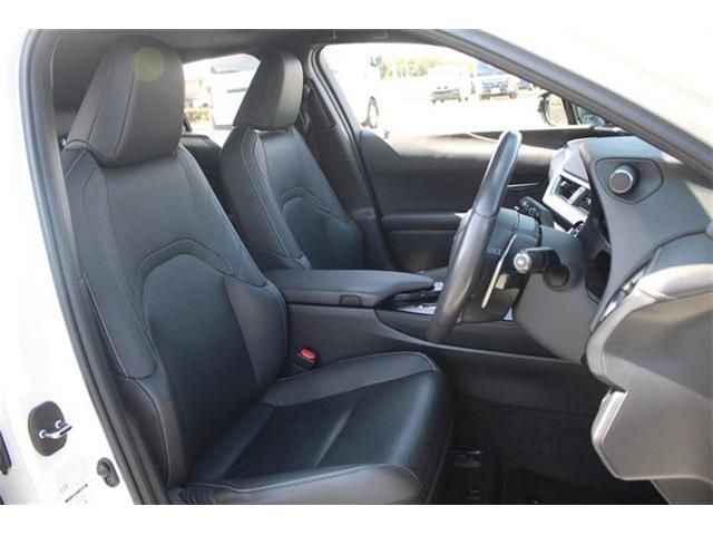 LEXUS UX300e