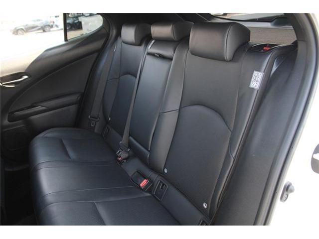 LEXUS UX300e