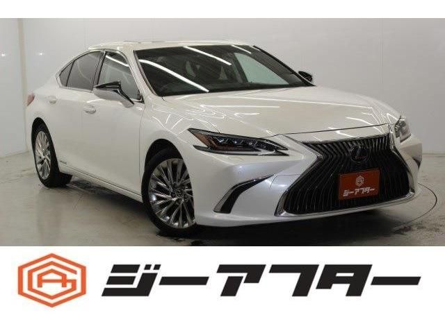 LEXUS ES300h