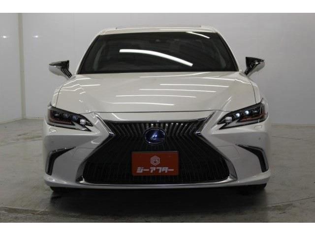 LEXUS ES300h