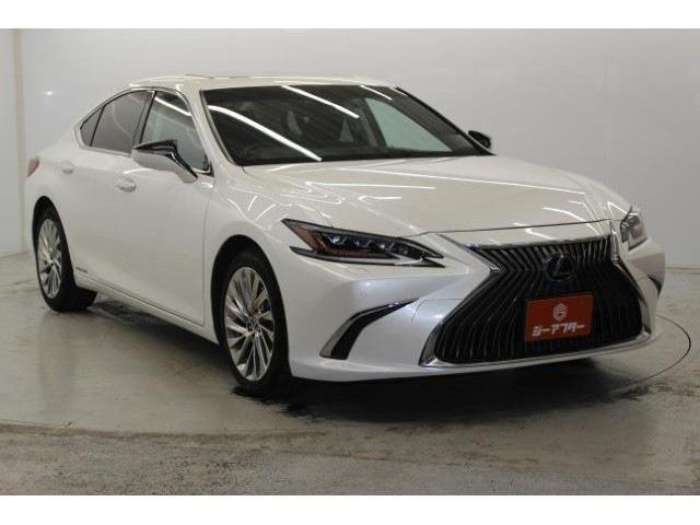 LEXUS ES300h