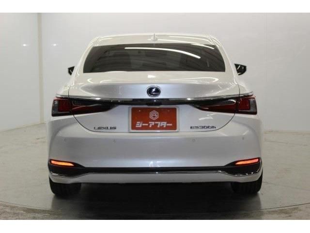 LEXUS ES300h
