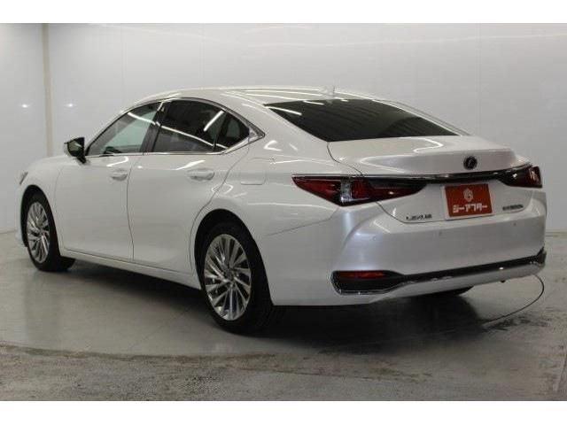 LEXUS ES300h